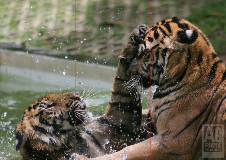 Using Rule of Thirds