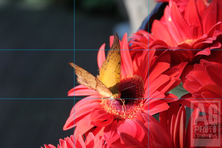 Using the Rule of Thirds