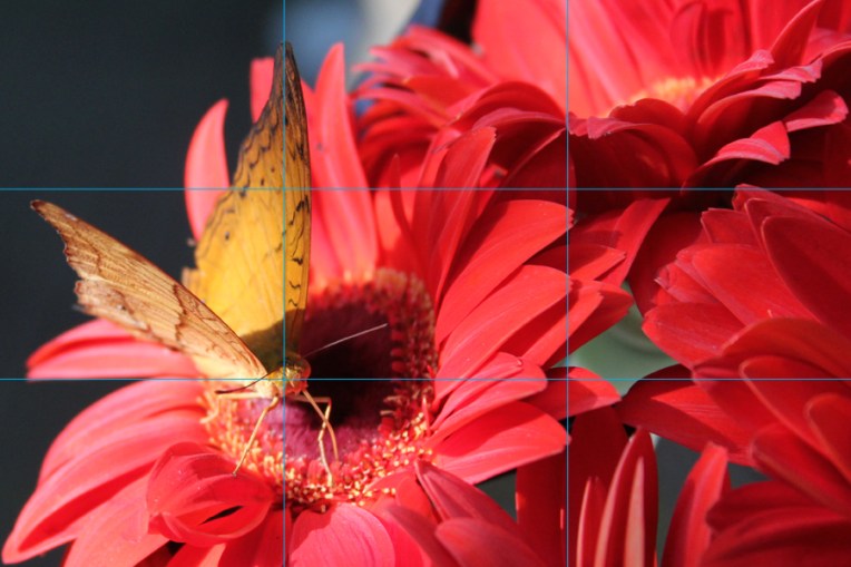 Using Rule of Thirds