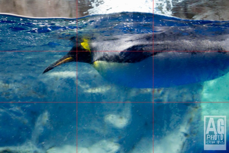 Using Rule of Thirds